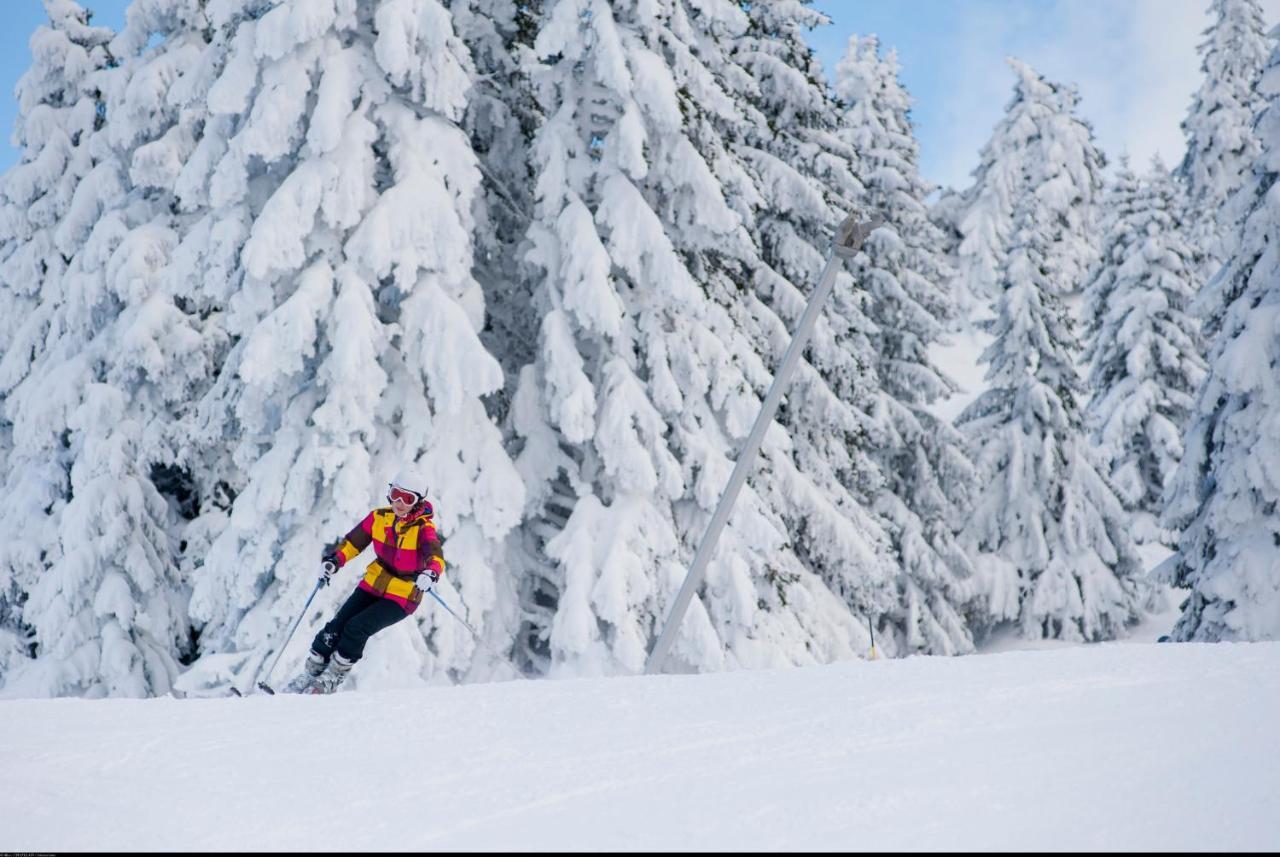 Holiday park Vvf Les Monts Jura 2*
