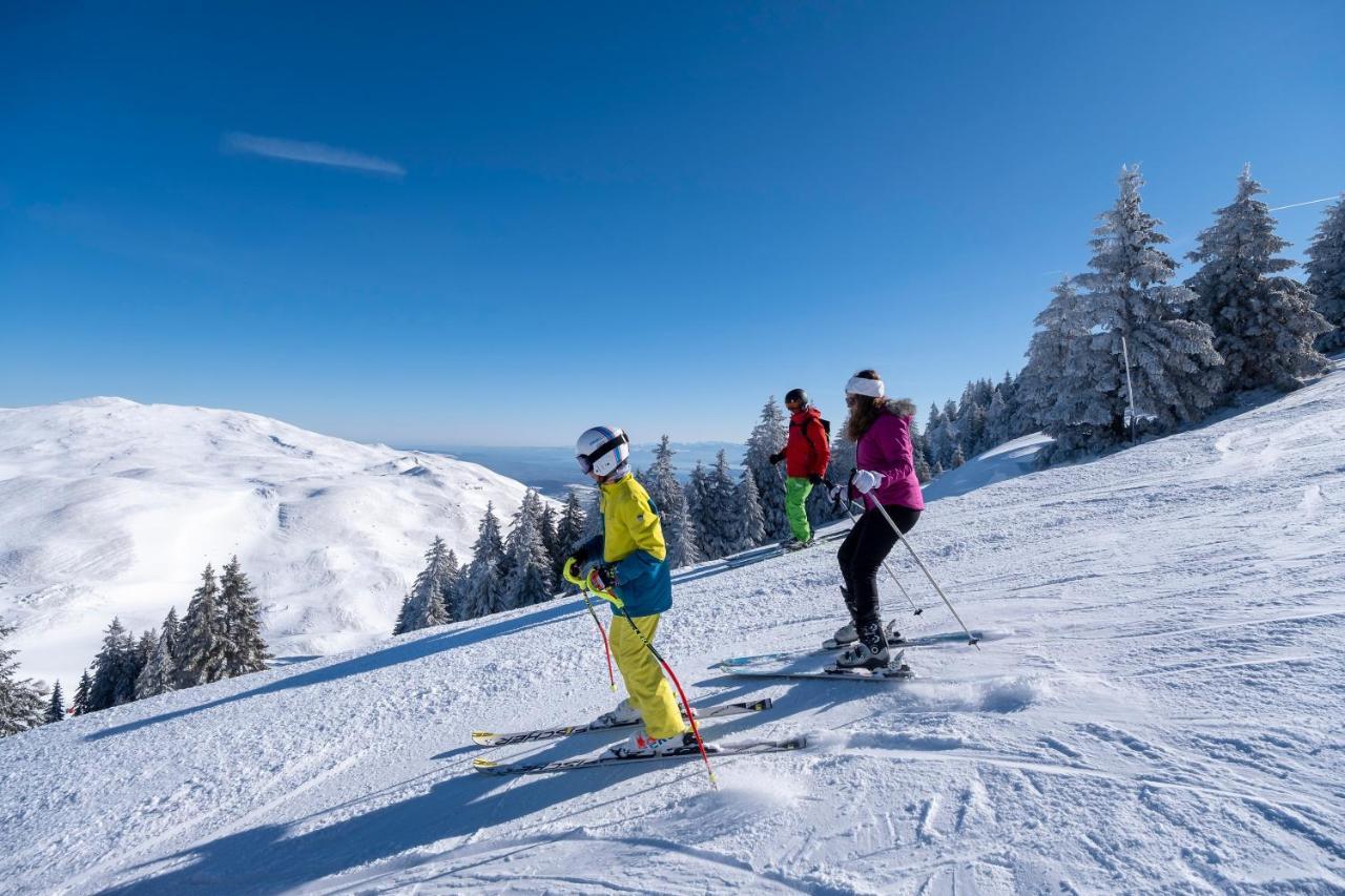 Vakantiepark Vvf Les Monts Jura Lélex